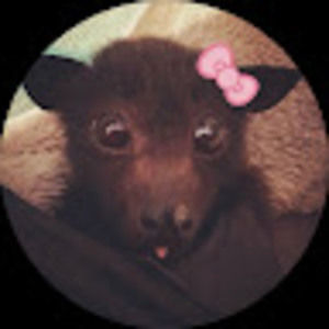 Meet your Posher, Corey